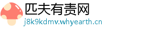 匹夫有责网